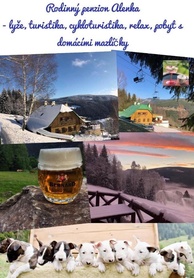 Penzion Alenka Špindlerŭv Mlýn المظهر الخارجي الصورة