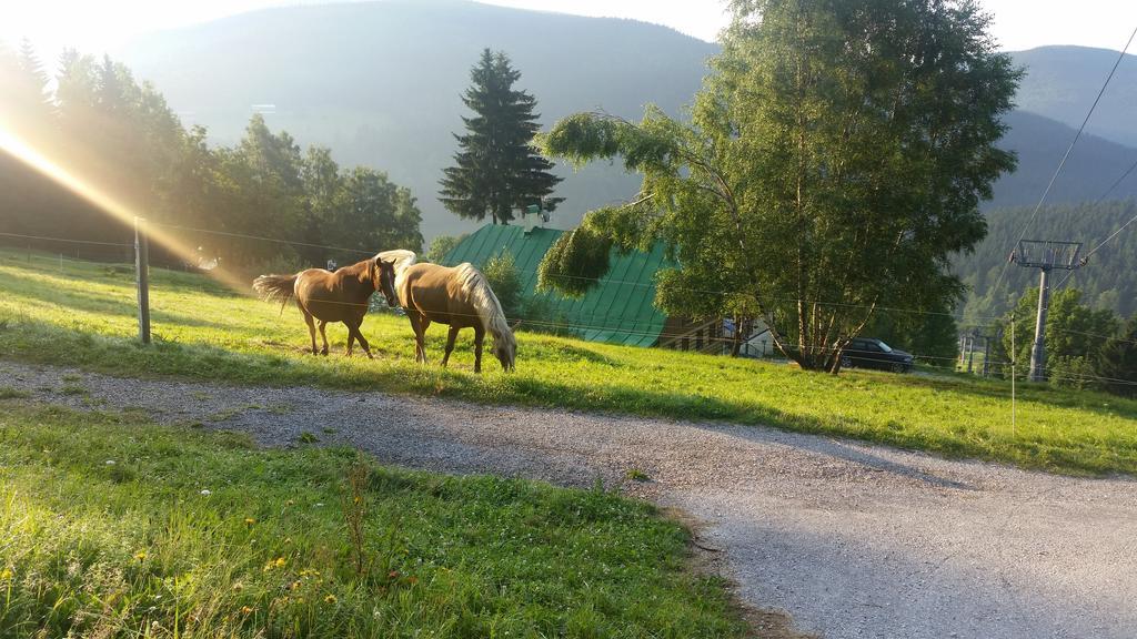 Penzion Alenka Špindlerŭv Mlýn المظهر الخارجي الصورة